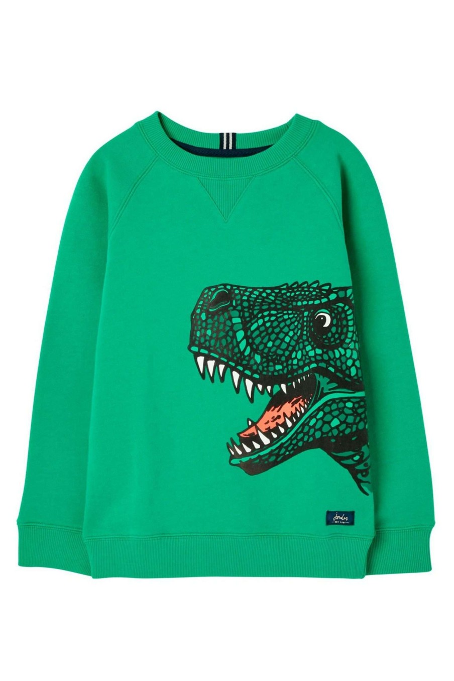 Apparel * | Joules Green Ventura Artwork Crew Neck Sweatshirt Unique