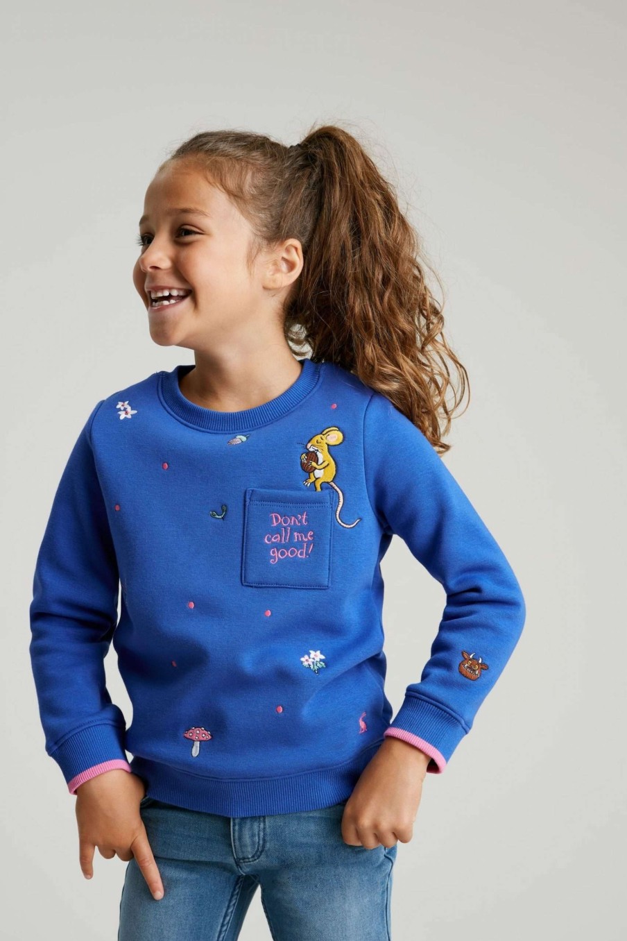 Apparel * | Joules Blue Gruffalo Mackenzie Artwork Sweatshirt Excellent Quality