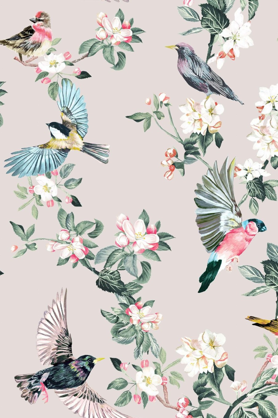 Accessories * | Joules Handford Garden Birds Wallpaper Classical