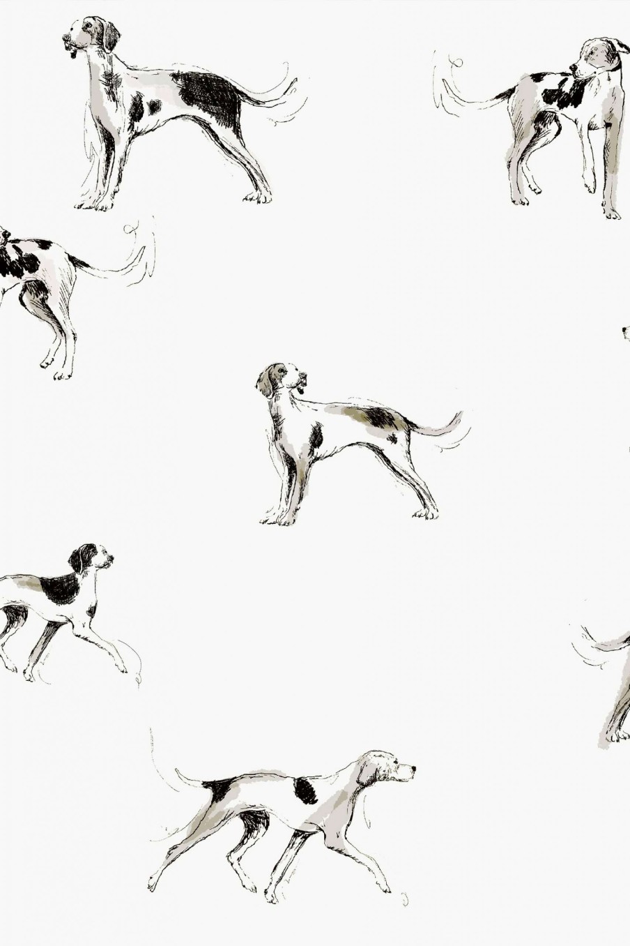 Accessories * | Joules Sketchy Dogs Wallpaper Gift Selection