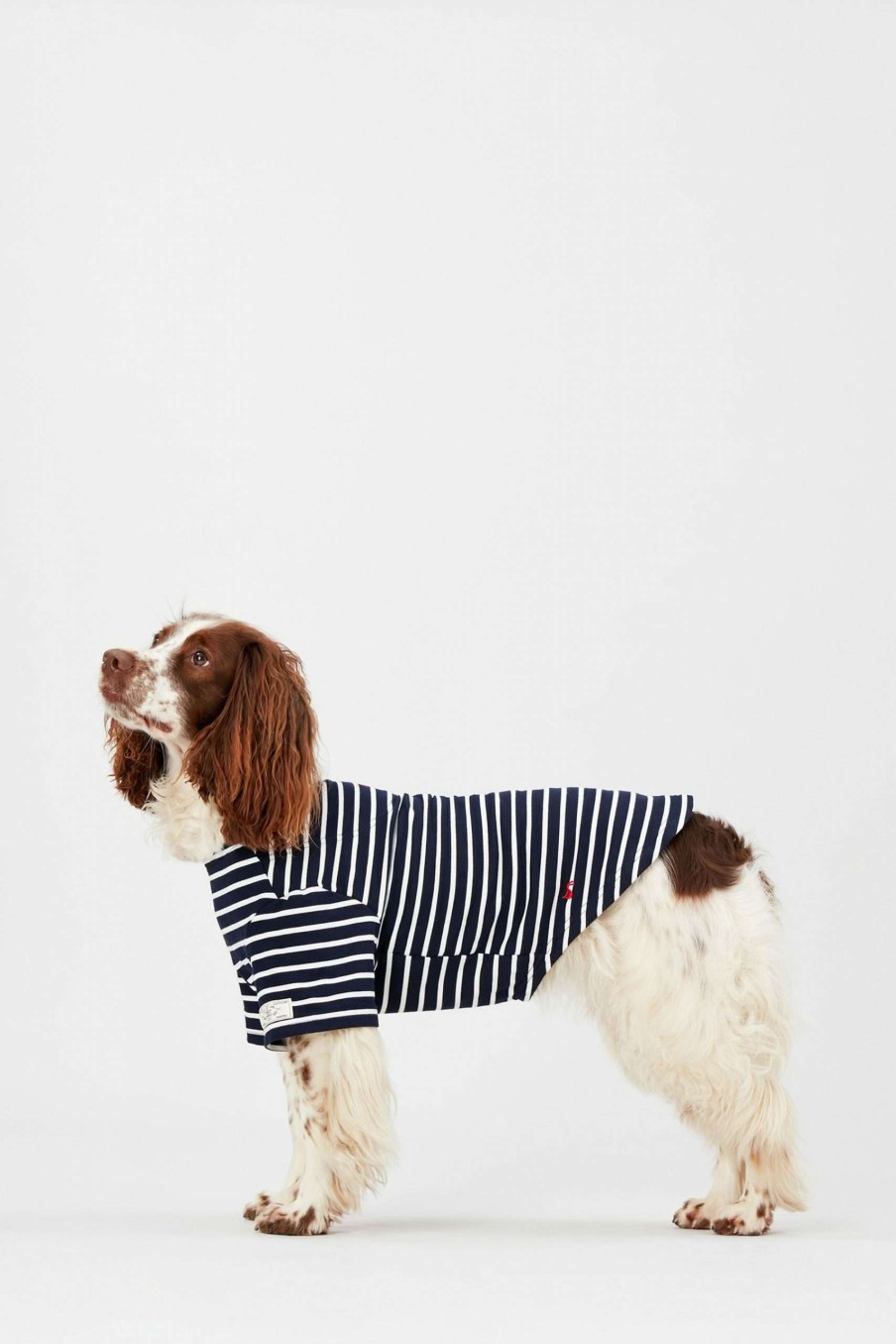 Apparel * | Joules Harbour Dog Top Promotion