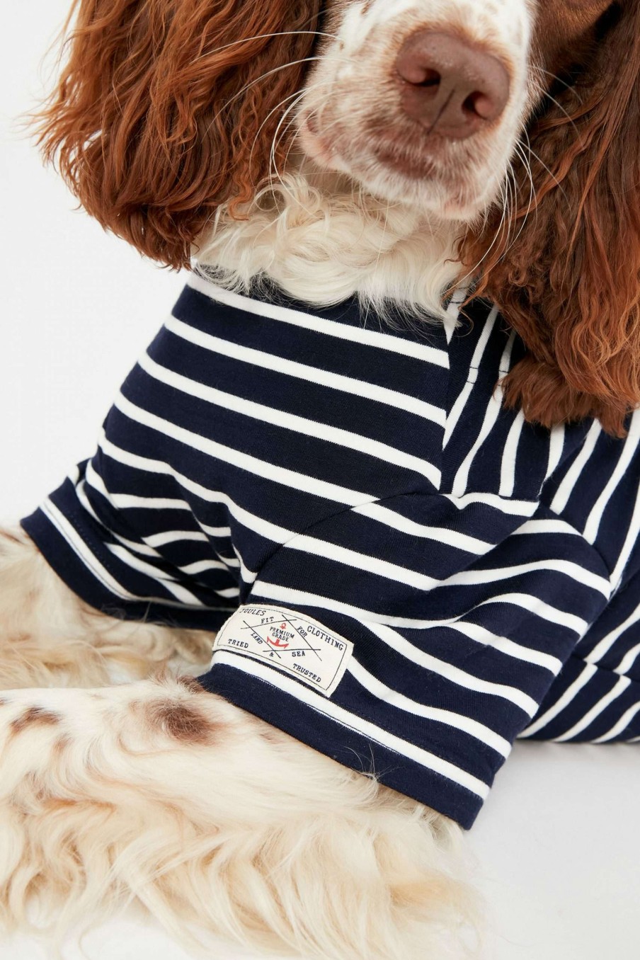 Apparel * | Joules Harbour Dog Top Promotion