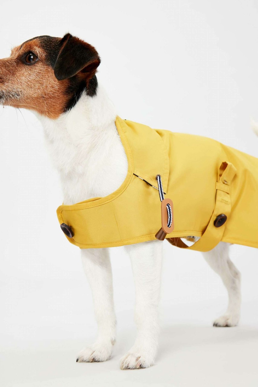 Apparel * | Joules Lightweight Dog Jacket Classical