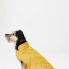 Apparel * | Joules Lightweight Dog Coat Closeout Sale