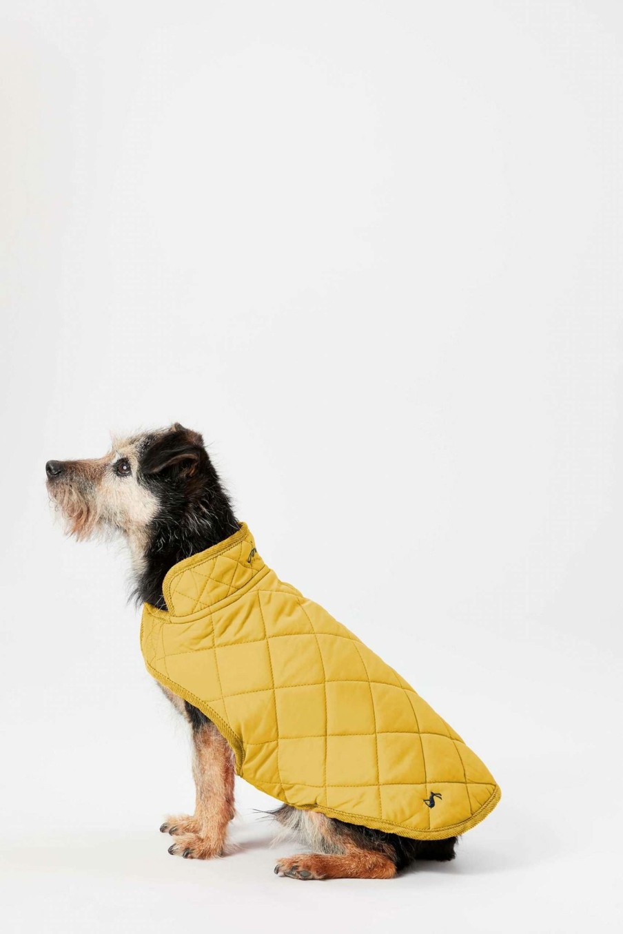 Apparel * | Joules Lightweight Dog Coat Closeout Sale