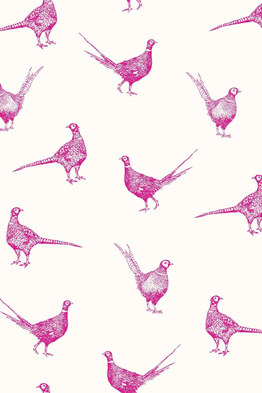 Accessories * | Joules Flirty Pheasants Truly Pink A4 Sample Limited Edition